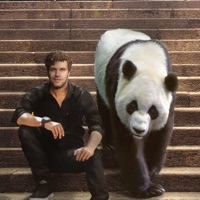 Viva La Panda