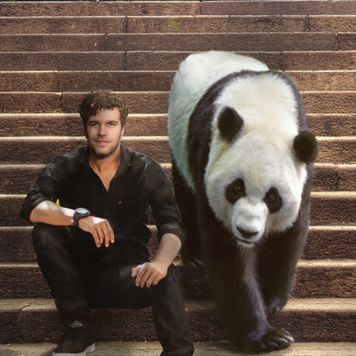 Viva La Panda