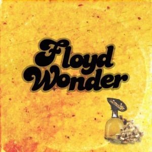 FLOYD WONDER - Mas Queso - 排舞 音乐