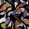 Coliformia - Rejoicer lyrics