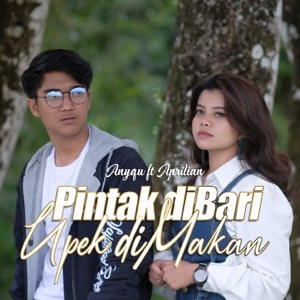Anyqu feat. Aprilian Album Art