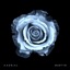 Martyr - Single