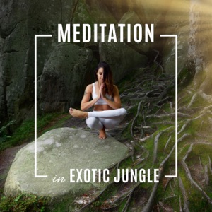 Meditation in Exotic Jungle: Spiritual Awakening, Wild Nature, Tropical Background Music, Yoga, Reiki, Ultimate Relaxation Experience, Tranquility for Rest