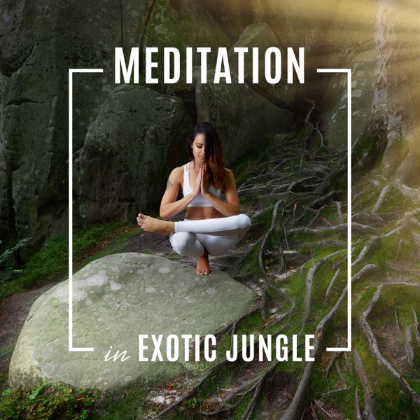 Meditation in Exotic Jungle: Spiritual Awakening, Wild Nature, Tropical Background Music, Yoga, Reiki, Ultimate Relaxation Experience, Tranquility for Rest