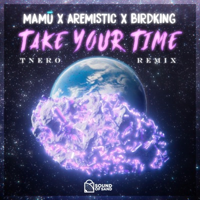 Take Your Time (feat. Birdking & Aremistic) [Tnero Remix] - Single