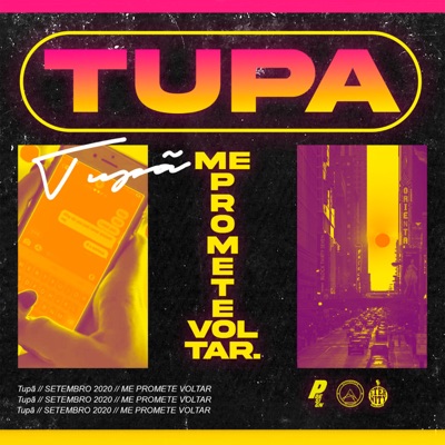 Me Promete Voltar - Single