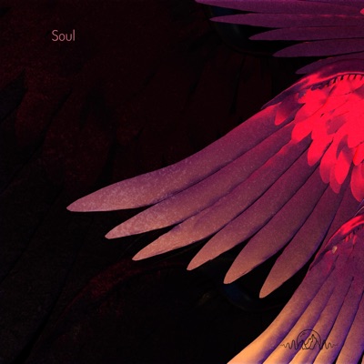 Soul - Single