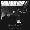 Silvery Track - Single