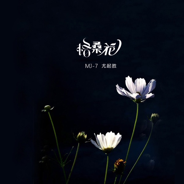 格桑花 - Single