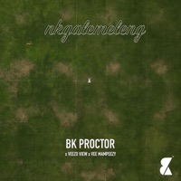 Nkgalemeleng (feat. Veezo View & Vee Mampeezy) - Single - BK Proctor