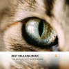 Best Relaxing Music for Anxious Cats! Water Sounds - Various Artists