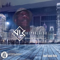 Usang' Khumbula - Single - NLK the Prozuloo