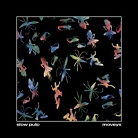 Slow Pulp Ablum Cover