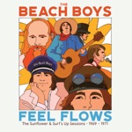 The Beach Boys - Slip On Through