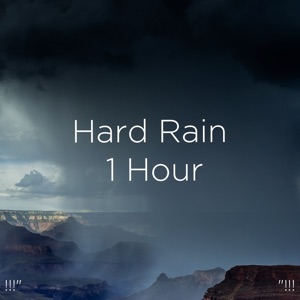 !!!"Hard Rain 1 Hour"!!!