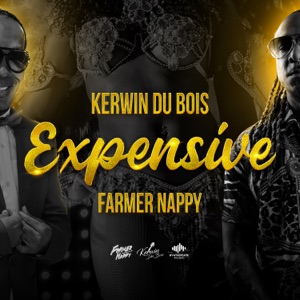 Expensive (feat. Kerwin Du Bois & Farmer Nappy)