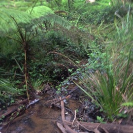 Farewell (feat. Oilcolor) CATVLYST