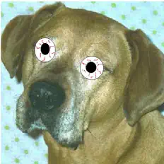 聆聽 BugfishSoup、觀看音樂影片、閱讀小傳、查看巡演日期等！