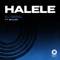 HALELE (feat. Skales) - DJ Serg lyrics