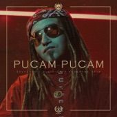 Pucam Pucam artwork