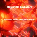 Adevaru
