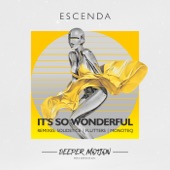 It's So Wonderful - EP artwork