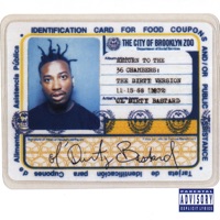 Shimmy Shimmy Ya - Ol' Dirty Bastard