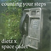 Counting Your Steps - EP