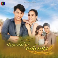 เพลงประกอบละคร ปาฏิหาริย์รักแม่โพสพ (จาก 