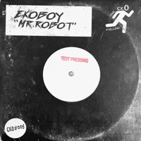 Mr. Robot - Single - Ekoboy
