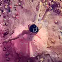Dance of the Flowers
