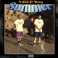 Summer - Single - V-FLO