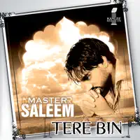 TERE BIN — SALEEM