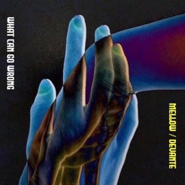 What can go wrong (feat. Devante Vaughan) MellowHoney