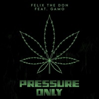 Pressure Only (feat. iiiamgamo) - Single - Felix The Don