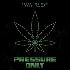 Pressure Only (feat. iiiamgamo) Felix The Don