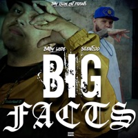 Big Facts (feat. Baby Wode) - Single - Silent200