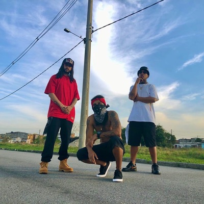 Fly (feat. Dirty Lion & Pepzi) - Single