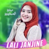 Lali Janjine - Single