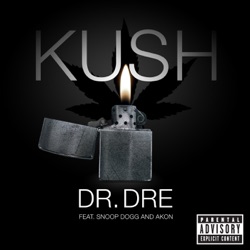 Kush (feat. Snoop Dogg & Akon)