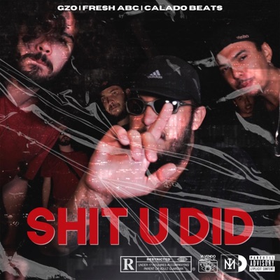 Shit U Did - Single