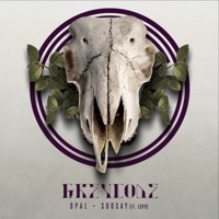 Opal / Soosay - Single - Grey Code