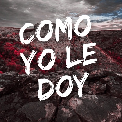 Como Yo Le Doy (Remix) [feat. DJ Shoko] - Single
