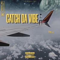 Catch Da Vibe - Trill K