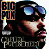 Still Not a Player (feat. Joe) [Radio Version] - Big Punisher