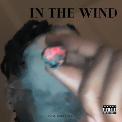 In the Wind (feat. T. Trendin) - Single