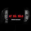 AY DIL DILO