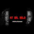 AY DIL DILO