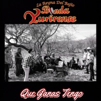 Banda Yurirense - Que Ganas Tengo