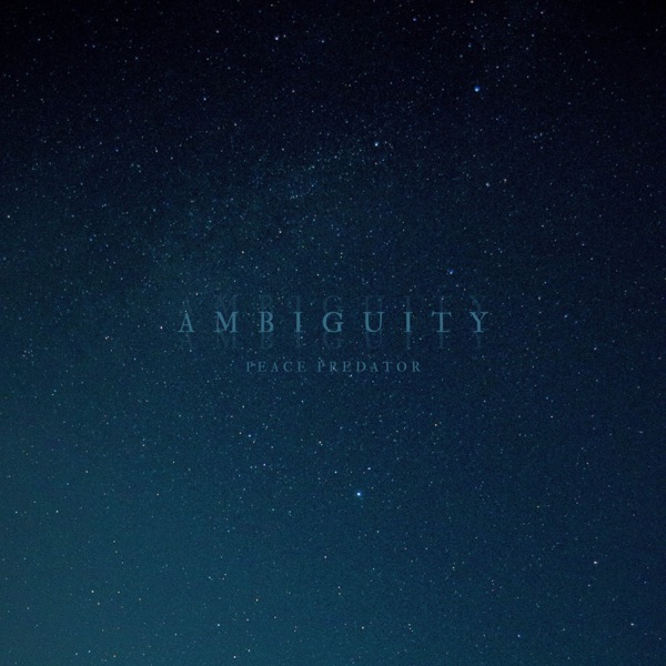 Ambiguity